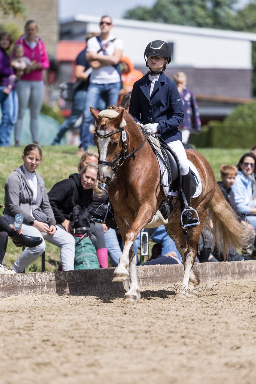 Bild 471 - Pony Akademie Turnier